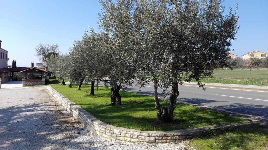 Apartment Luka Novigrad Istria 外观 照片