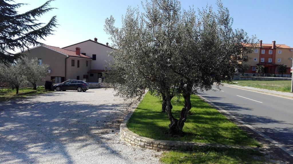 Apartment Luka Novigrad Istria 外观 照片